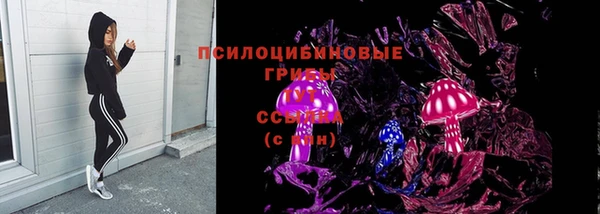 спиды Каменка