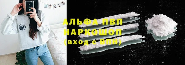 спиды Каменка