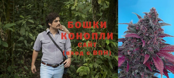 спиды Каменка