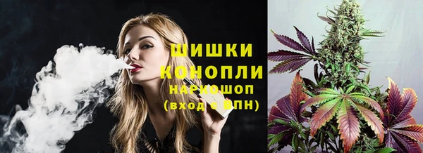 спиды Каменка