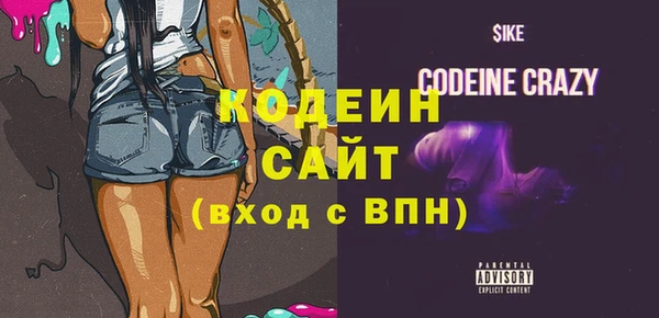 спиды Каменка