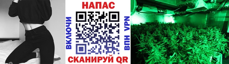 Купить  Жигулёвск  Бошки Шишки THC 21% 